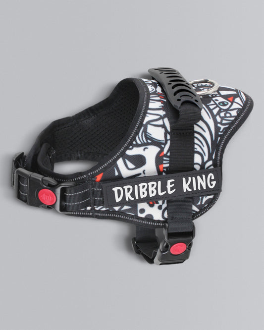 Tiny Troublemakers (XXS) Collection