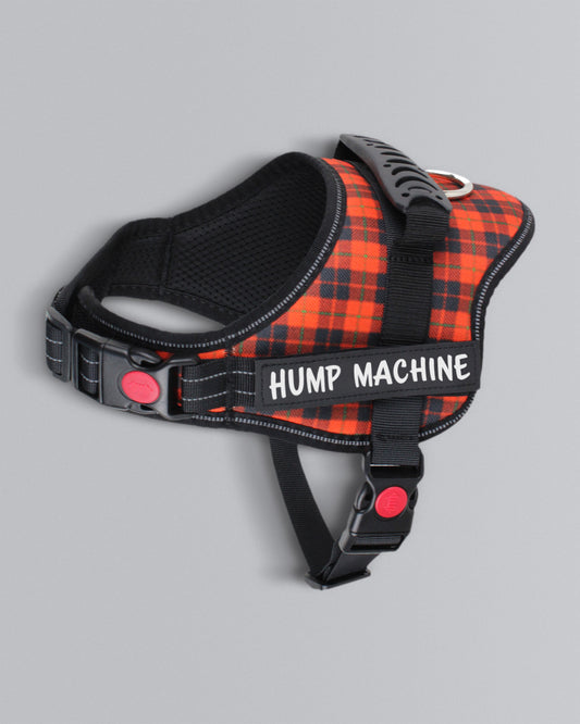 the HUMP MACHINE